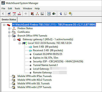 Screenshot of VPN status verify